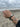 Armband Walfluke (Herren)
